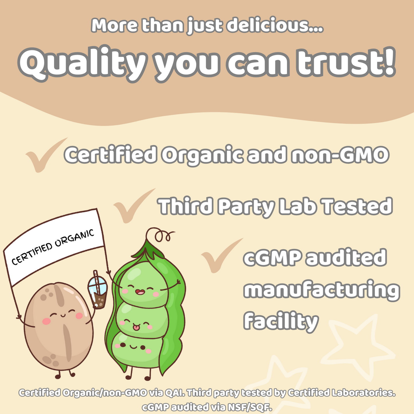 Organic Plant Protein Oatmilk Blend - Dark Chocolate